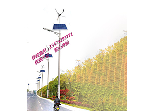 風(fēng)光互補(bǔ)太陽能路燈FGD-31 風(fēng)光互補(bǔ)太陽能路燈FGD-31