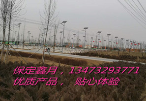 太陽能電池板,雄安新區太陽能路燈,太陽能路燈廠家