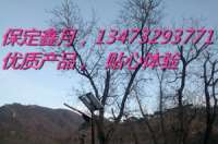 太陽能路燈助力北京懷柔美麗鄉村建設，為首都后花園增色添彩